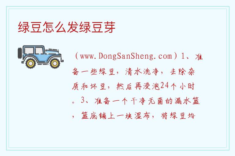 绿豆怎么发绿豆芽 