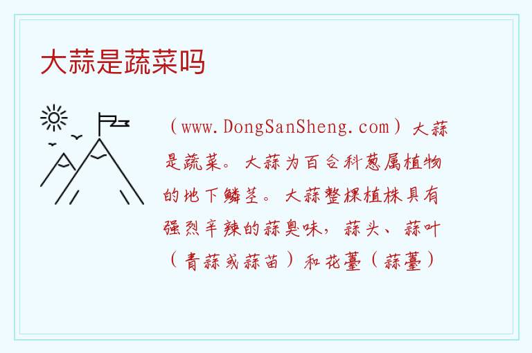 大蒜是蔬菜吗 大蒜算不算蔬菜