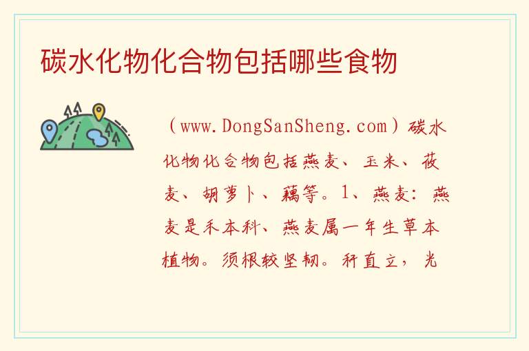 碳水化物化合物包括哪些食物 