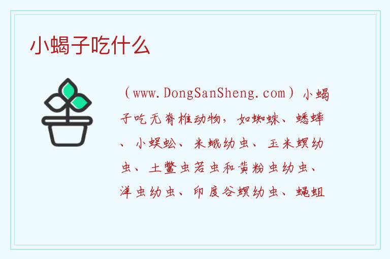 小蝎子吃什么 