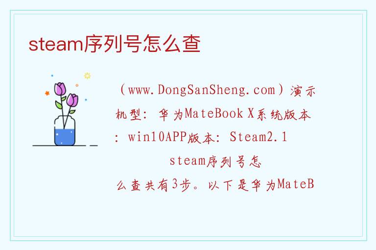 steam序列号怎么查 