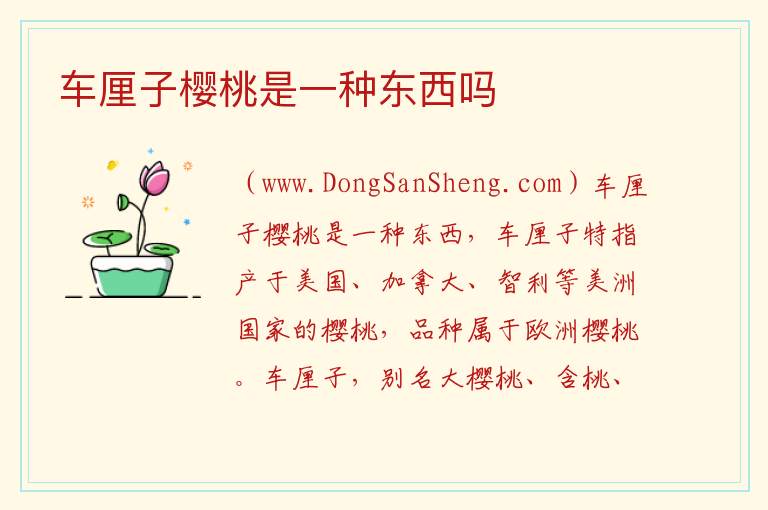 樱桃又叫车厘子对吗，樱桃又叫车厘子对吗