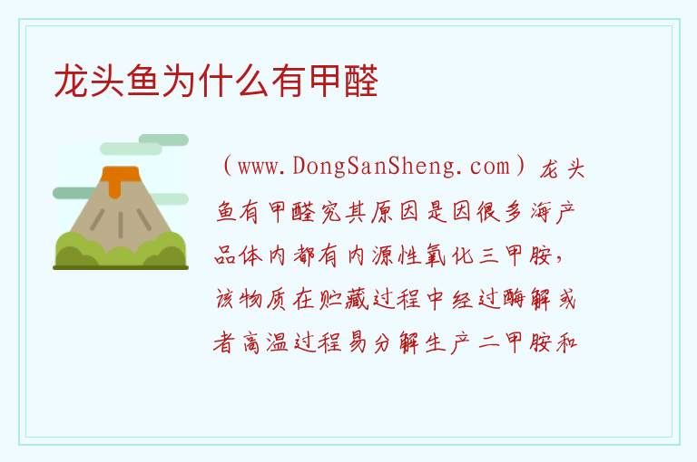 龙头鱼为什么有甲醛 
