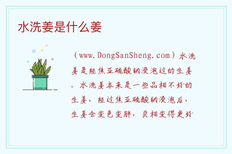 水姜叫什么姜，水姜叫什么姜