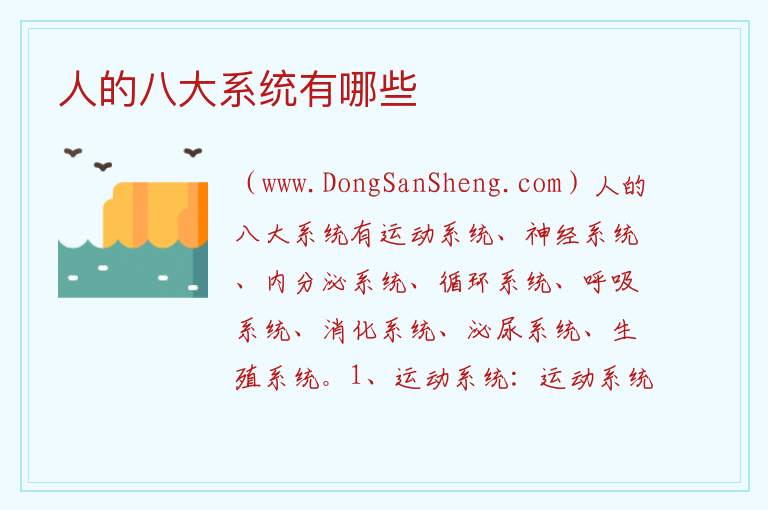 人的八大系统有哪些 