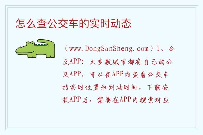 怎么查公交车的实时动态 