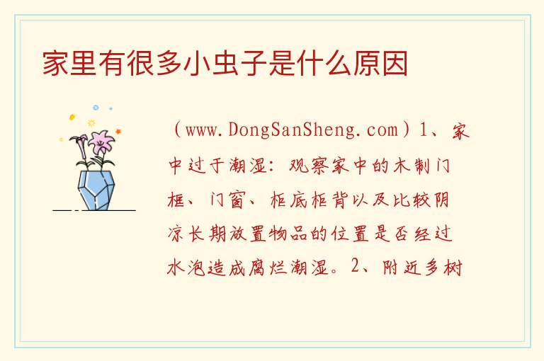 家里有很多小虫子是什么原因 