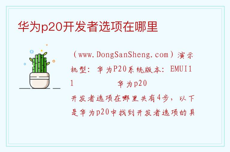 华为p20开发者选项在哪里 