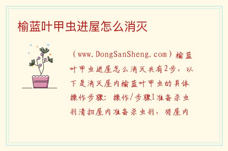 榆蓝叶甲虫进屋怎么消灭 