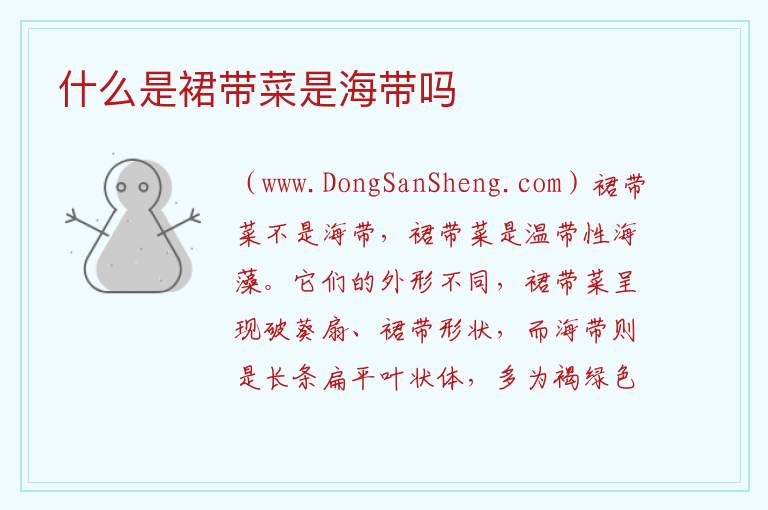什么是裙带菜是海带吗 