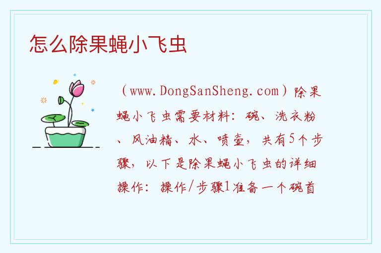 怎么除果蝇小飞虫 