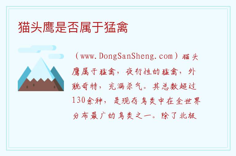 猫头鹰是否属于猛禽 