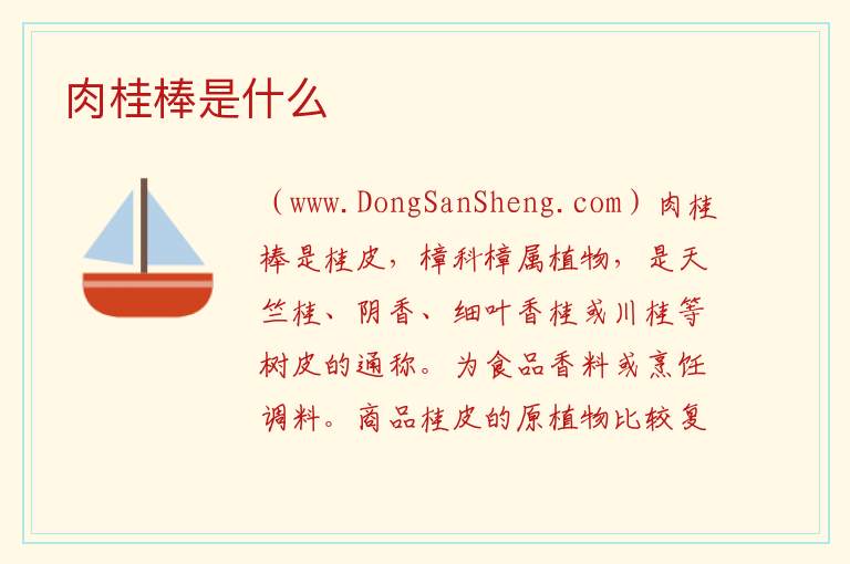 肉桂棒是什么 