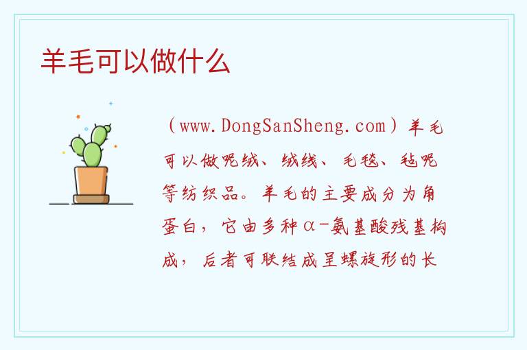 羊毛可以做什么 