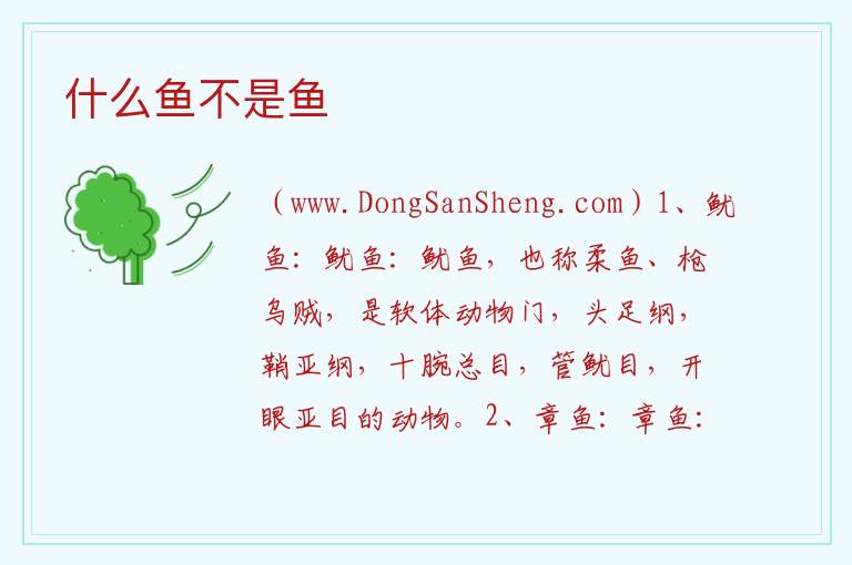 什么鱼不是鱼 