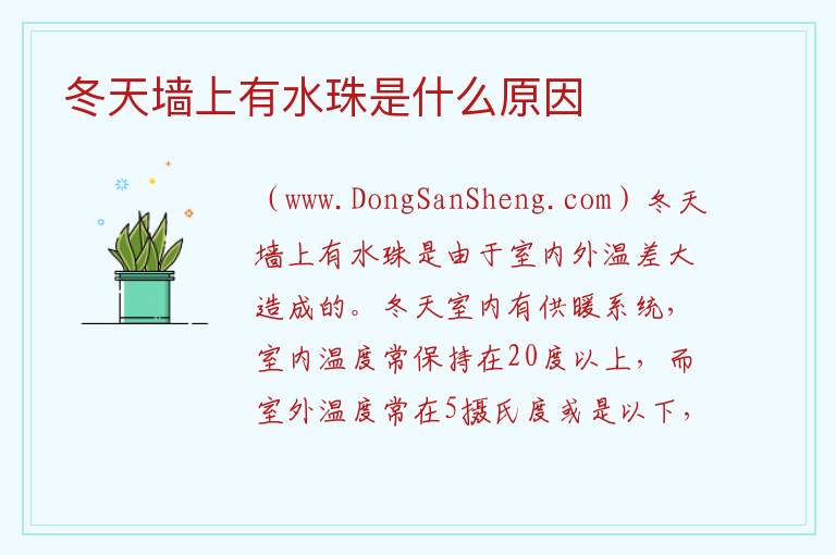 冬天墙上有水珠是什么原因 