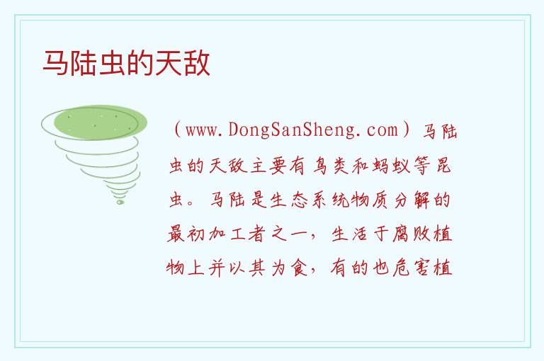 马陆虫的天敌 