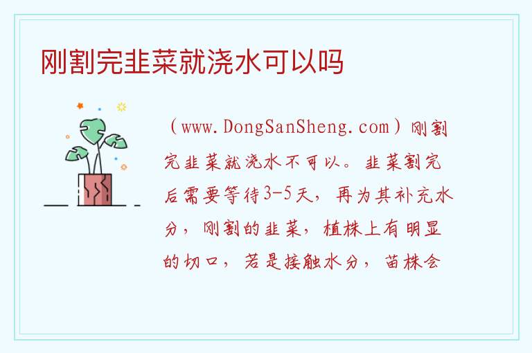 刚割完韭菜就浇水可以吗 