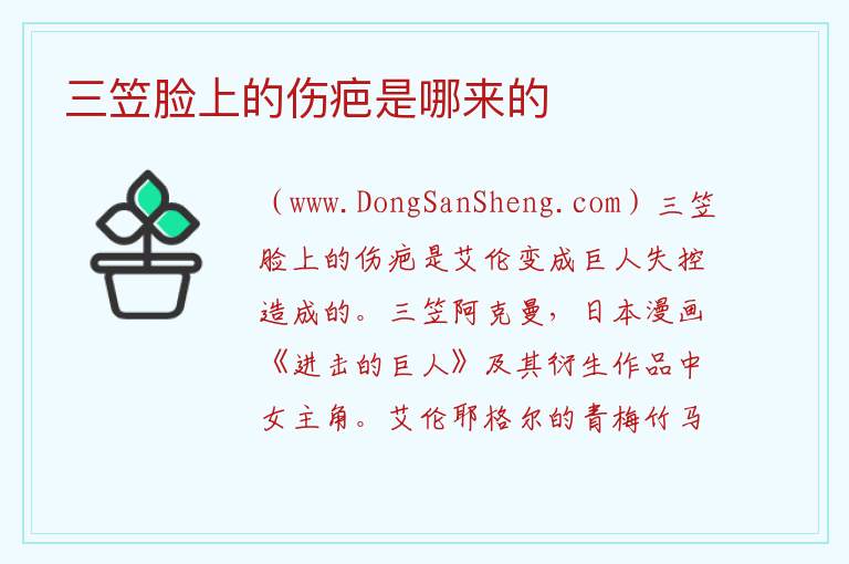 三笠脸上的伤疤是哪来的 
