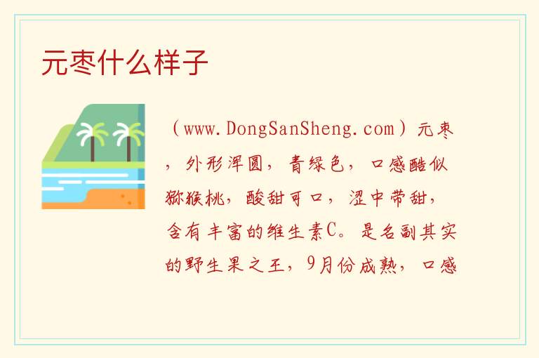 元枣什么样子 