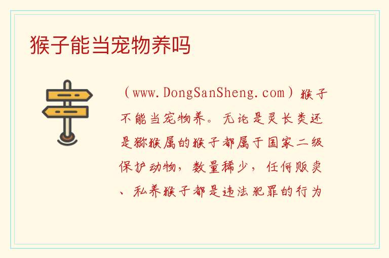 猴子能当宠物养吗 