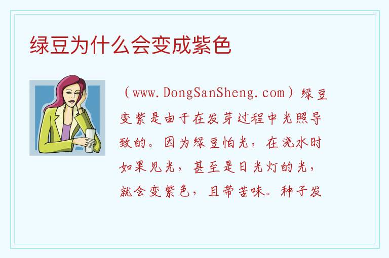 绿豆为什么会变成紫色 