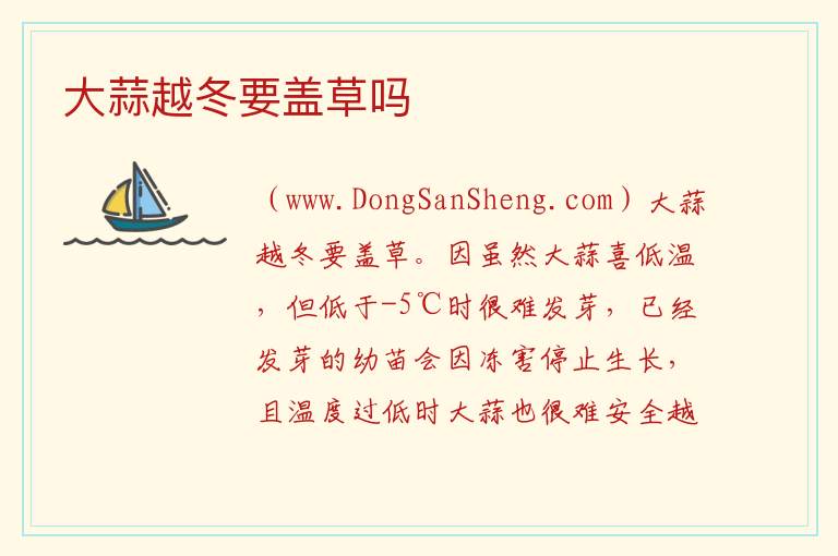 大蒜越冬要盖草吗 
