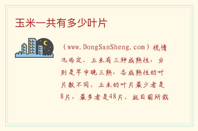 玉米一共有多少叶片 