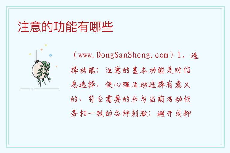 注意的功能有哪些 