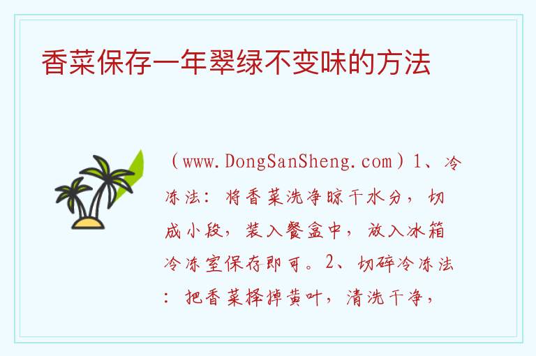 香菜保存一年翠绿不变味的方法 
