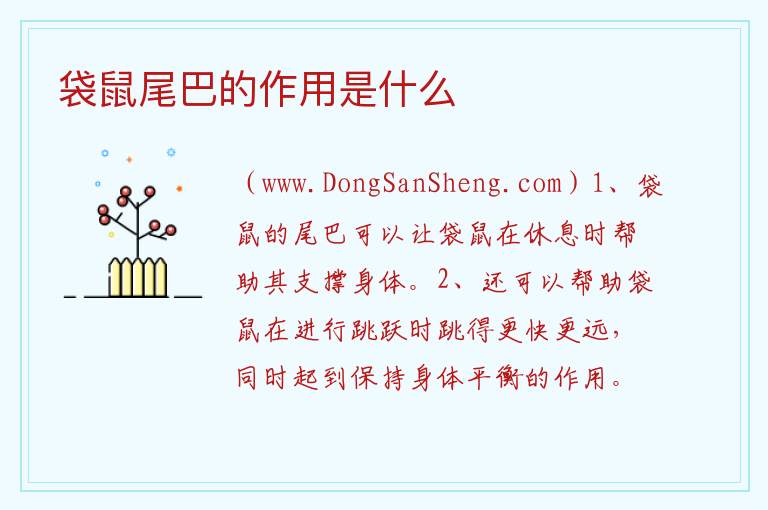 袋鼠尾巴的作用是什么 