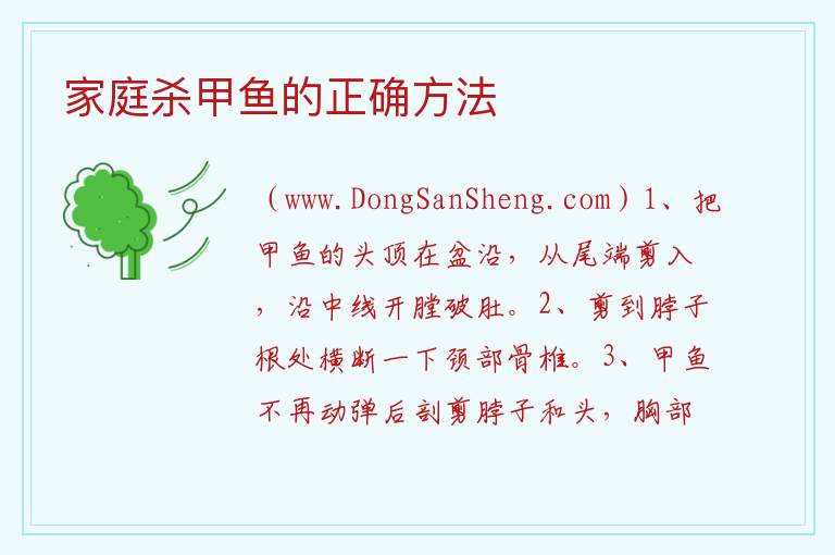 家庭杀甲鱼的正确方法 