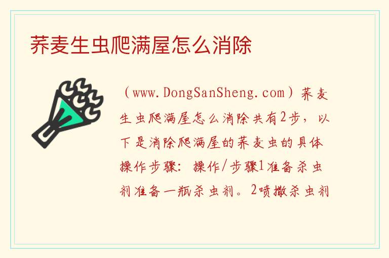 荞麦生虫爬满屋怎么消除 