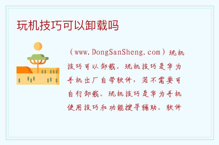 玩机技巧可以卸载吗 