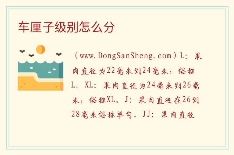 车厘子级别怎么分 