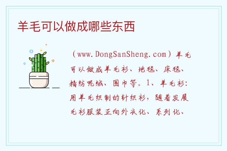 羊毛可以做成哪些东西 