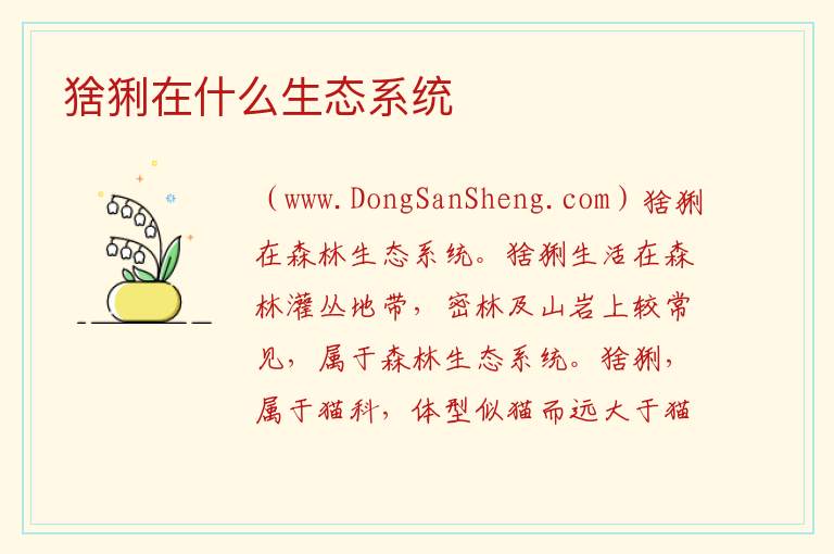 猞猁在什么生态系统 