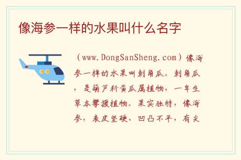 像海参一样的水果叫什么名字 