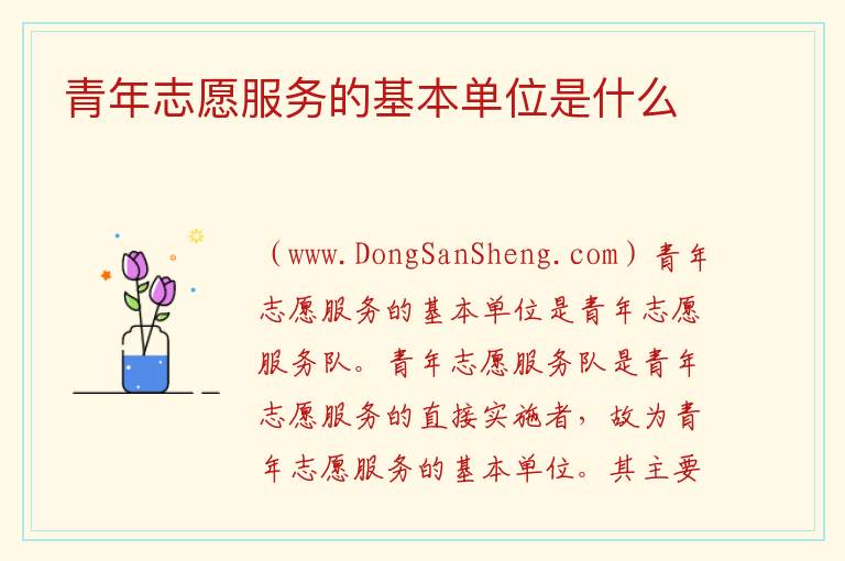 青年志愿服务的基本单位是什么 