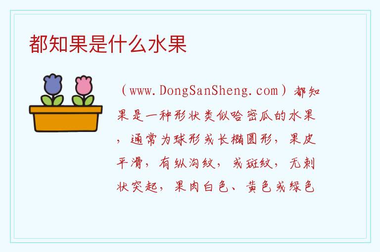 都知果是什么水果 