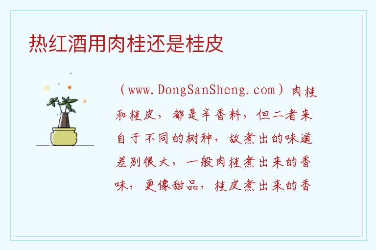 热红酒用肉桂还是桂皮 