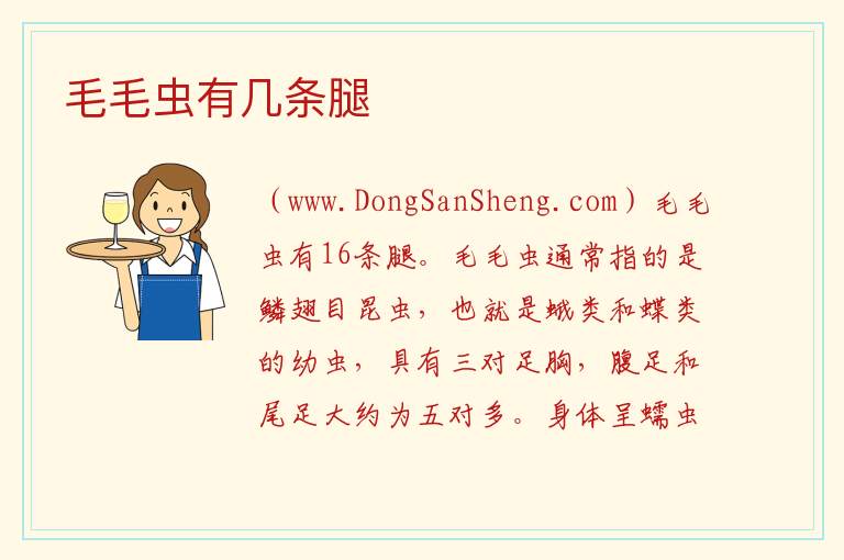 毛毛虫有几条腿 