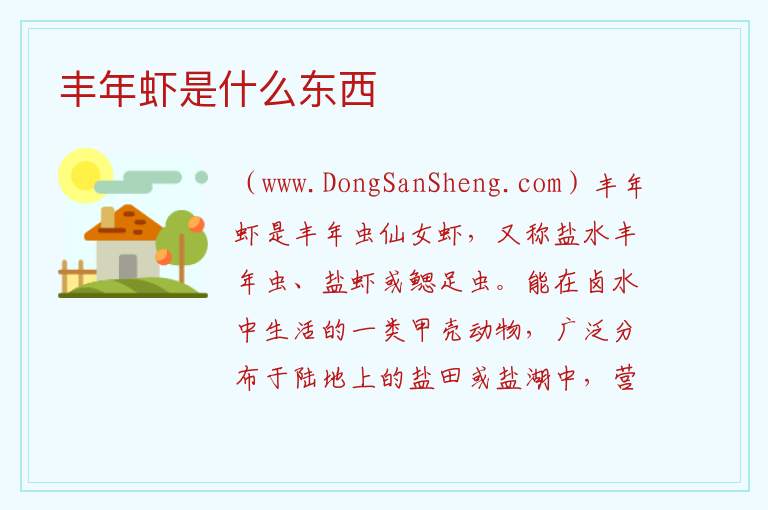 丰年虾是什么，丰年虾是什么