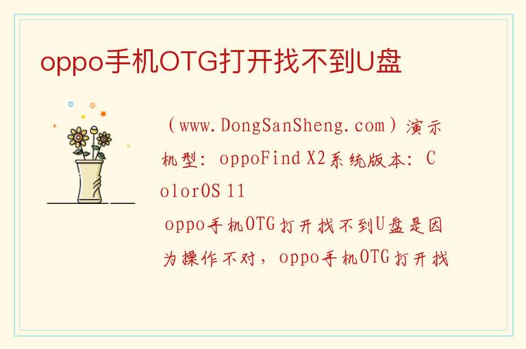 oppo手机OTG打开找不到U盘 
