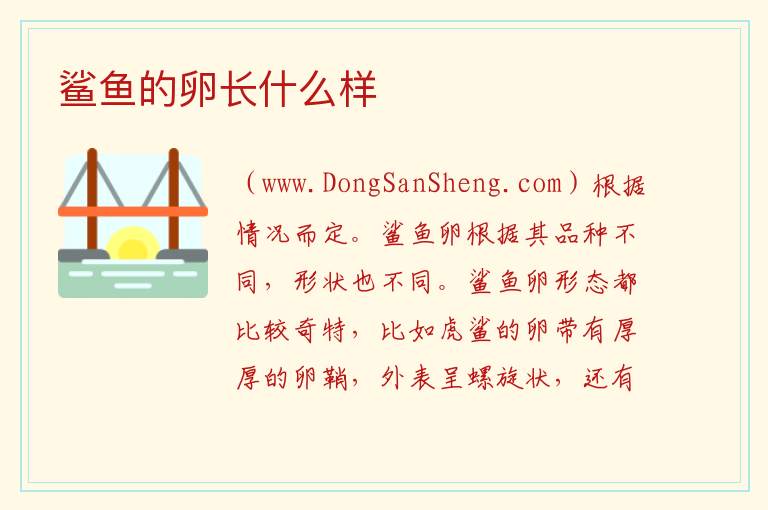 鲨鱼的卵长什么样 