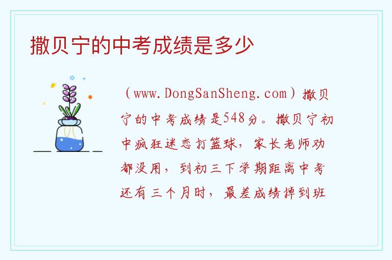 撒贝宁的中考成绩是多少 