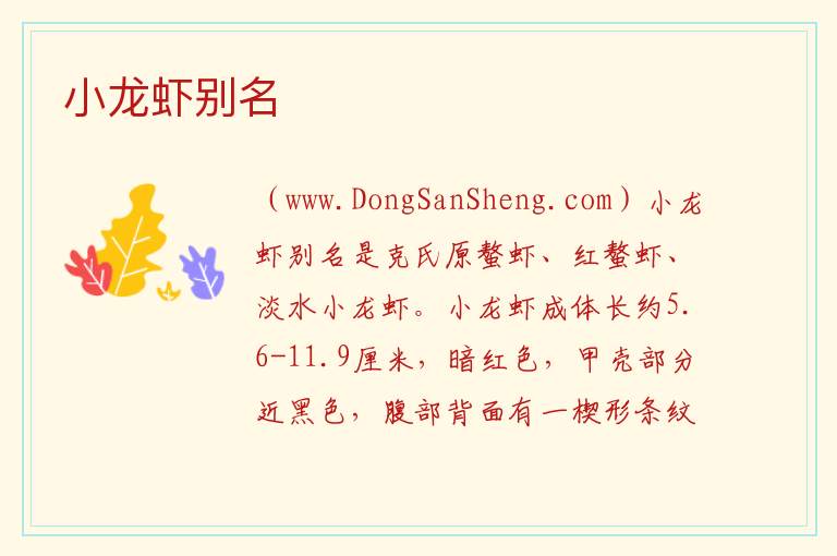 小龙虾别名 