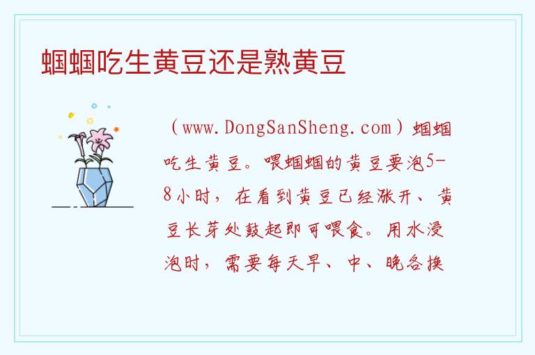 蝈蝈吃生黄豆还是熟黄豆 