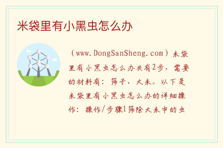 米袋里有小黑虫怎么办 