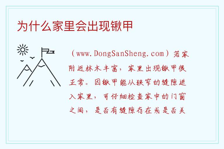 为什么家里会出现锹甲 